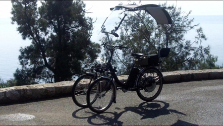 gallery/3-29-2011_002